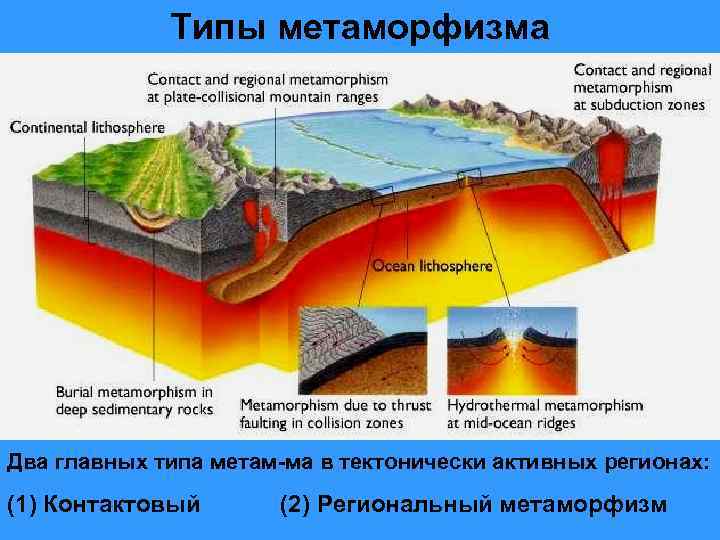 Типы метаморфизма Два главных типа метам-ма в тектонически активных регионах: (1) Контактовый (2) Региональный