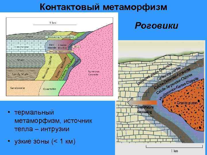 Контактовый метаморфизм Роговики • термальный метаморфизм, источник тепла – интрузии • узкие зоны (<