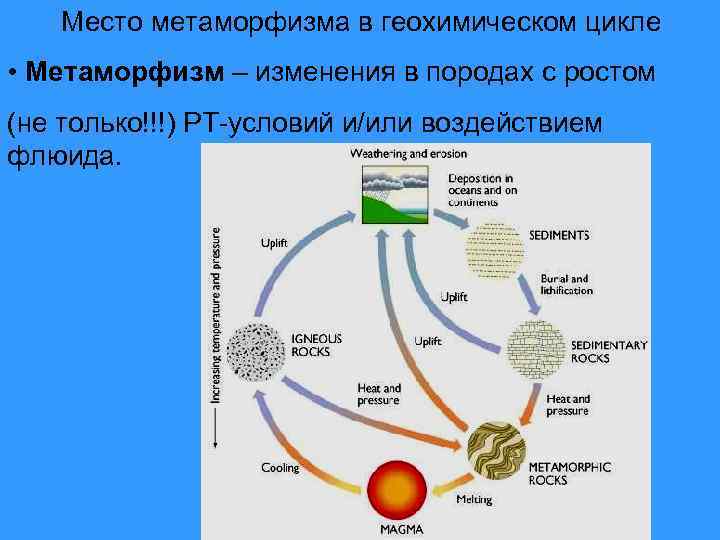 Место метаморфизма в геохимическом цикле • Метаморфизм – изменения в породах с ростом (не