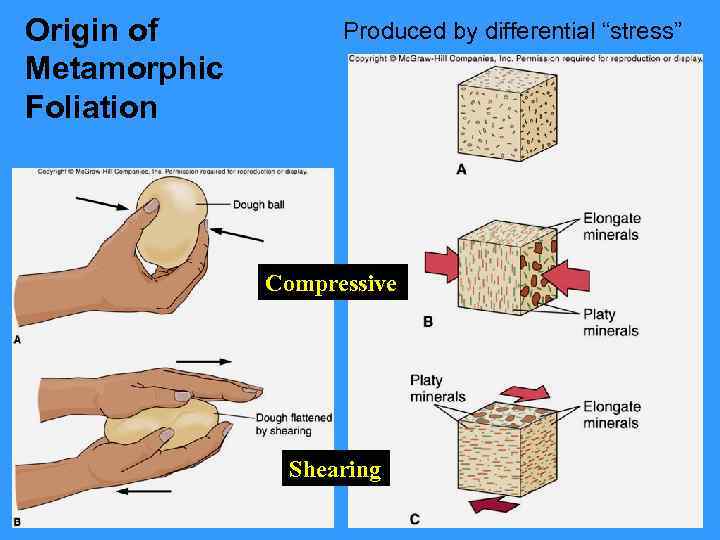 Origin of Metamorphic Foliation Produced by differential “stress” Compressive Shearing 
