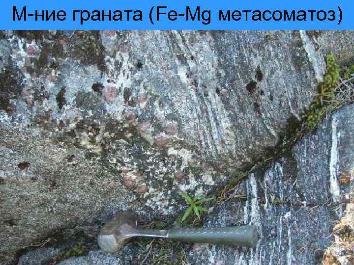 М-ние граната (Fe-Mg метасоматоз) 