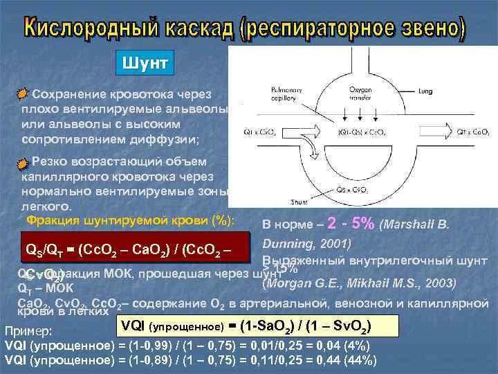 Кислород обмен веществ