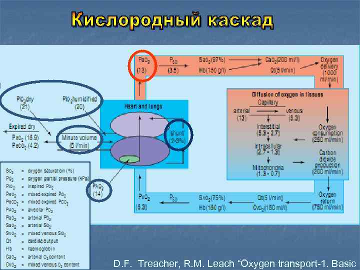 D. F. Treacher, R. M. Leach “Oxygen transport-1. Basic 