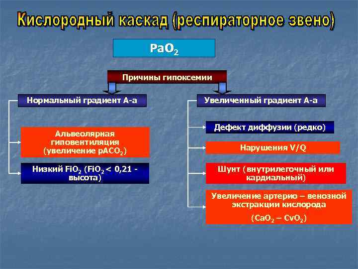 Кислород обмен веществ