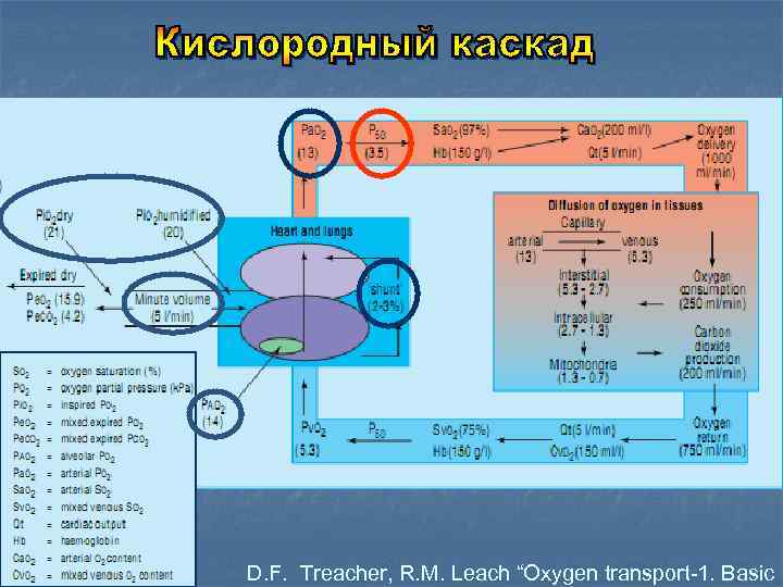 D. F. Treacher, R. M. Leach “Oxygen transport-1. Basic 