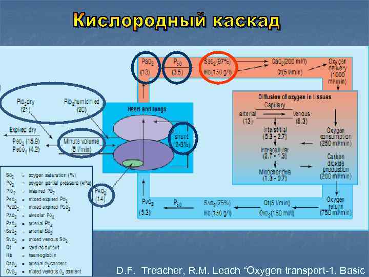 D. F. Treacher, R. M. Leach “Oxygen transport-1. Basic 