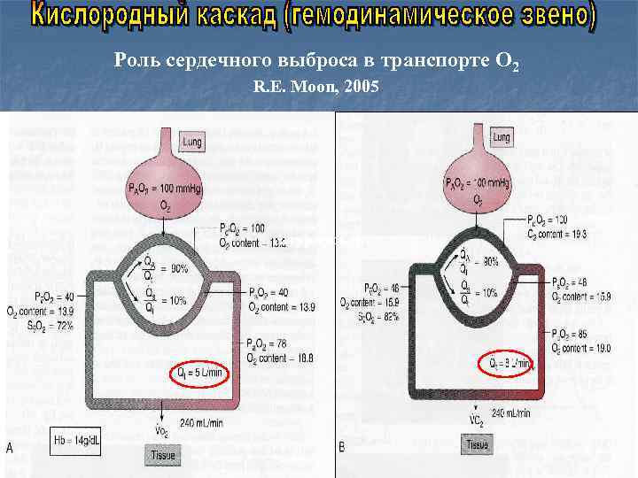 Роль сердечного выброса в транспорте О 2 R. E. Moon, 2005 сатурирован 