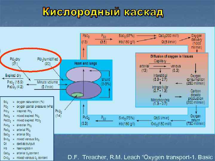 D. F. Treacher, R. M. Leach “Oxygen transport-1. Basic 
