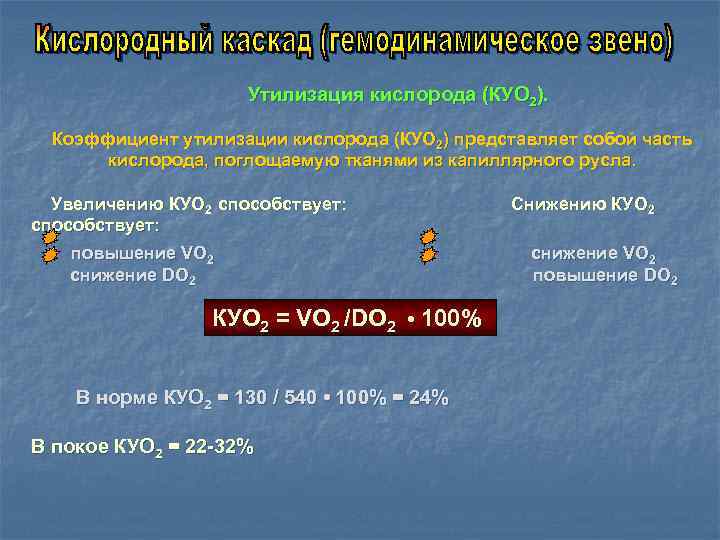 Кислород обмен веществ