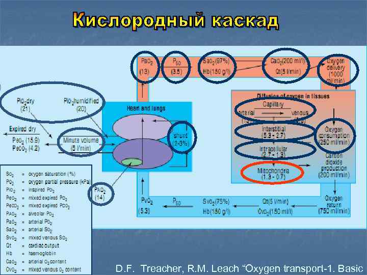 D. F. Treacher, R. M. Leach “Oxygen transport-1. Basic 