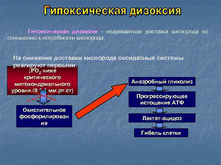 Энергетический обмен кислорода