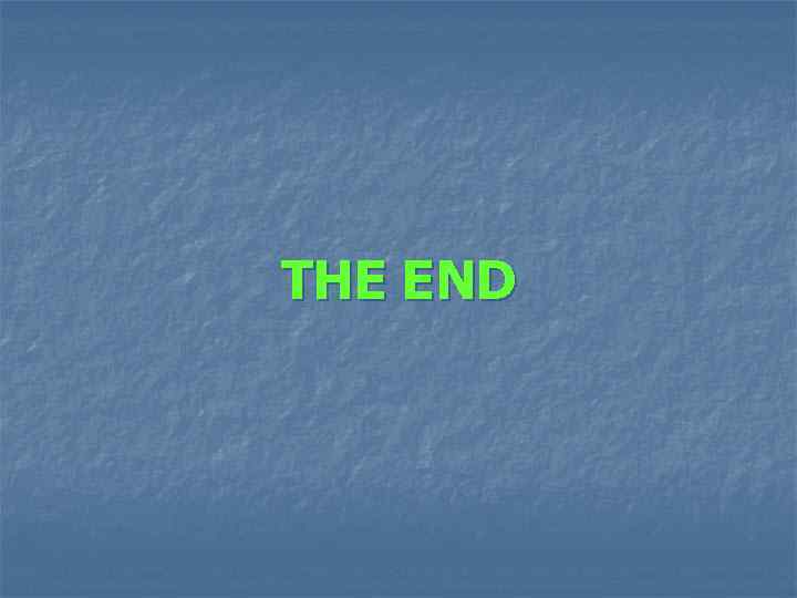 THE END 