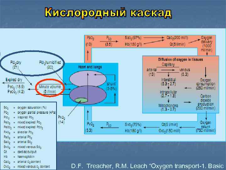 D. F. Treacher, R. M. Leach “Oxygen transport-1. Basic 