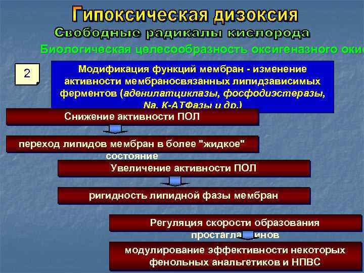 Биологическая целесообразность оксигеназного окис 2 Модификация функций мембран - изменение активности мембраносвязанных липидзависимых ферментов