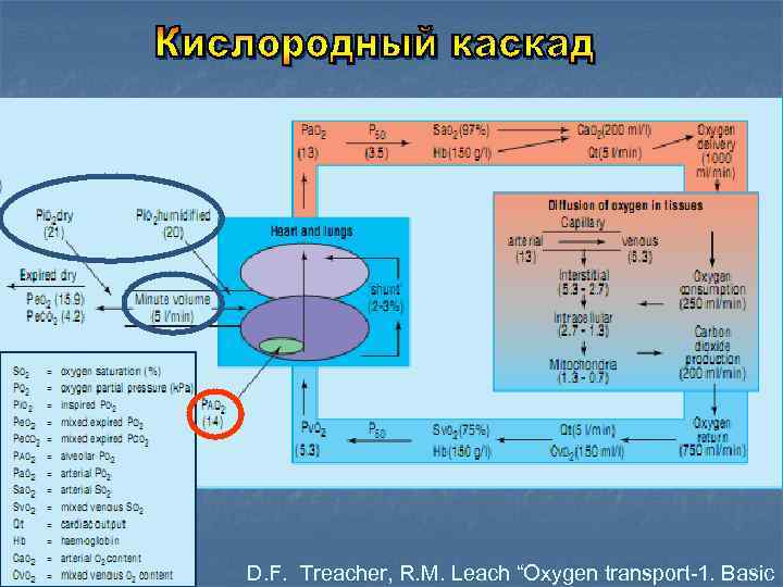 D. F. Treacher, R. M. Leach “Oxygen transport-1. Basic 