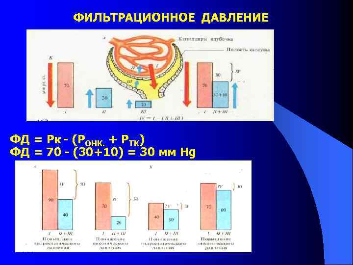 ФИЛЬТРАЦИОННОЕ ДАВЛЕНИЕ ФД = Рк - (РОНК. + РТК) ФД = 70 - (30+10)