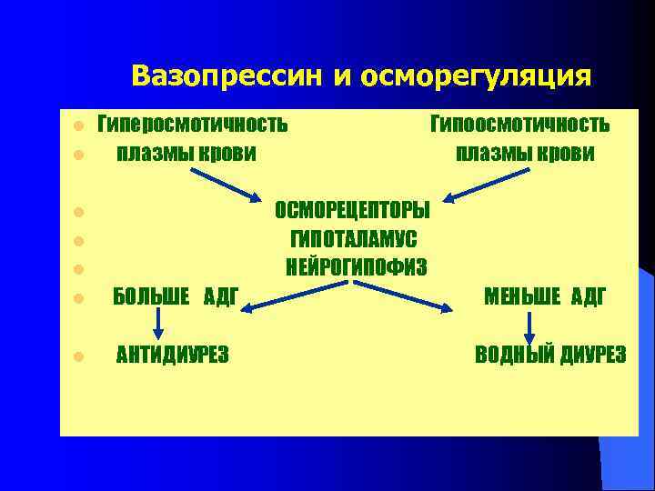 Вазопрессин и осморегуляция l l Гиперосмотичность плазмы крови Гипоосмотичность плазмы крови ОСМОРЕЦЕПТОРЫ ГИПОТАЛАМУС НЕЙРОГИПОФИЗ