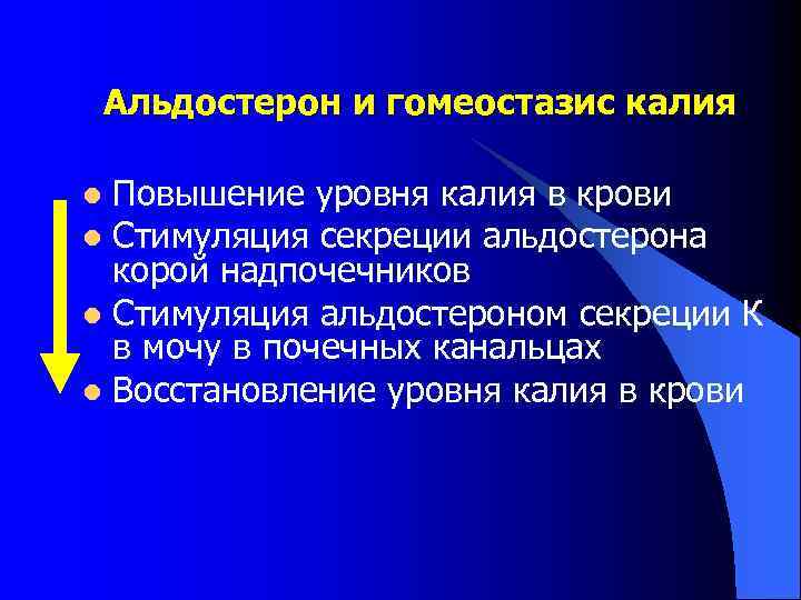 Альдостерон и гомеостазис калия Повышение уровня калия в крови l Стимуляция секреции альдостерона корой
