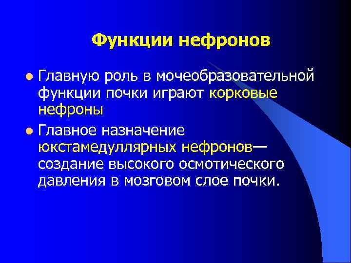 Функции нефронов Главную роль в мочеобразовательной функции почки играют корковые нефроны l Главное назначение