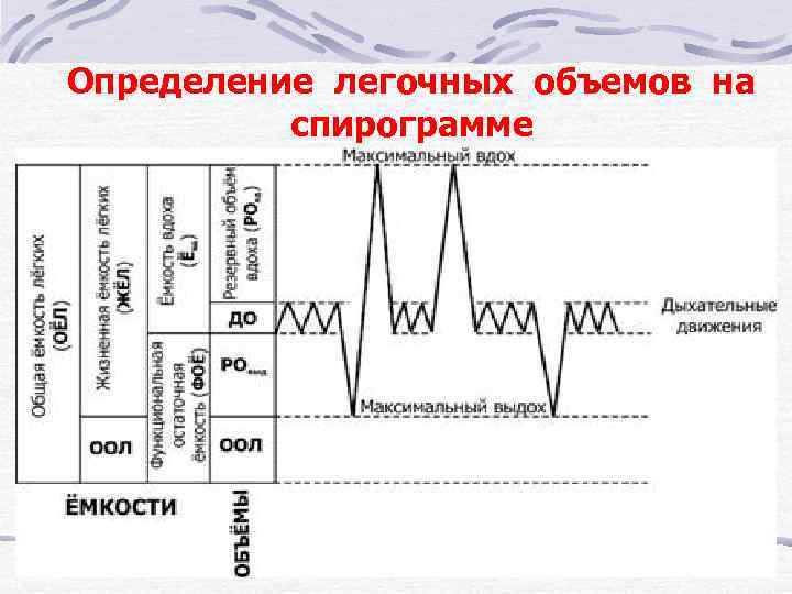 Определение легочных объемов на спирограмме 
