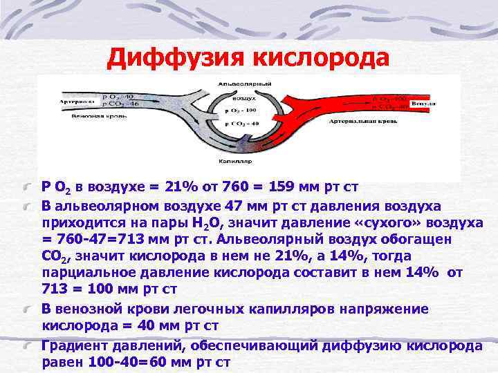 Диффузия кислорода Р О 2 в воздухе = 21% от 760 = 159 мм