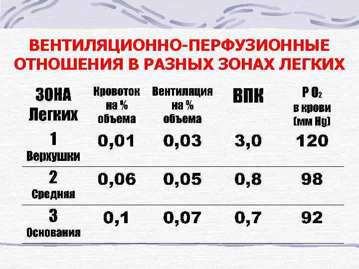 ВЕНТИЛЯЦИОННО-ПЕРФУЗИОННЫЕ ОТНОШЕНИЯ В РАЗНЫХ ЗОНАХ ЛЕГКИХ 