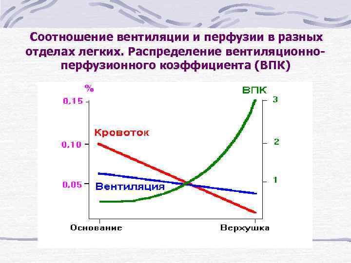 Соотношение вентиляции и перфузии в разных отделах легких. Распределение вентиляционноперфузионного коэффициента (ВПК) 