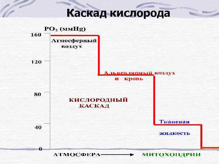 Каскад кислорода 