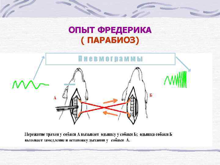 ОПЫТ ФРЕДЕРИКА ( ПАРАБИОЗ) Пневмограммы 