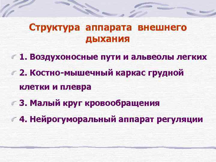 Структура аппарата внешнего дыхания 1. Воздухоносные пути и альвеолы легких 2. Костно-мышечный каркас грудной