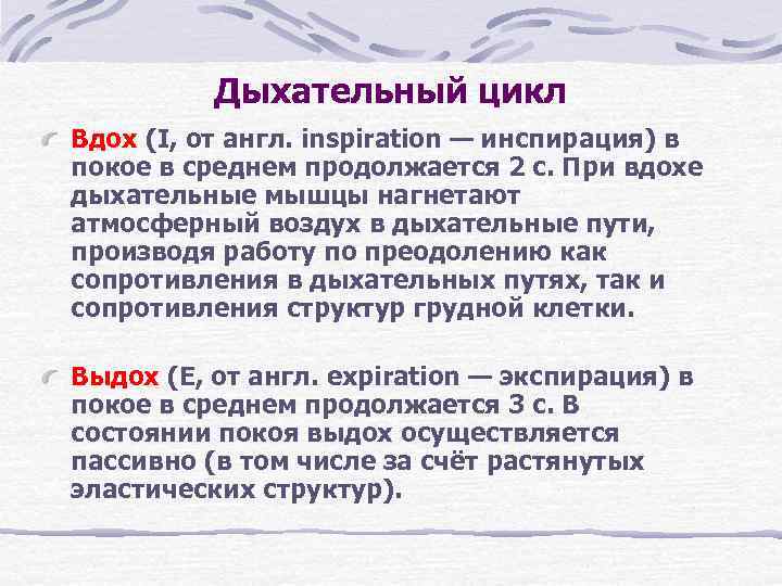 Продолжительность дыхания. Дыхательный цикл. Стадии дыхательного цикла. Цикл физиологического дыхания. Дыхательный цикл и его фазы.