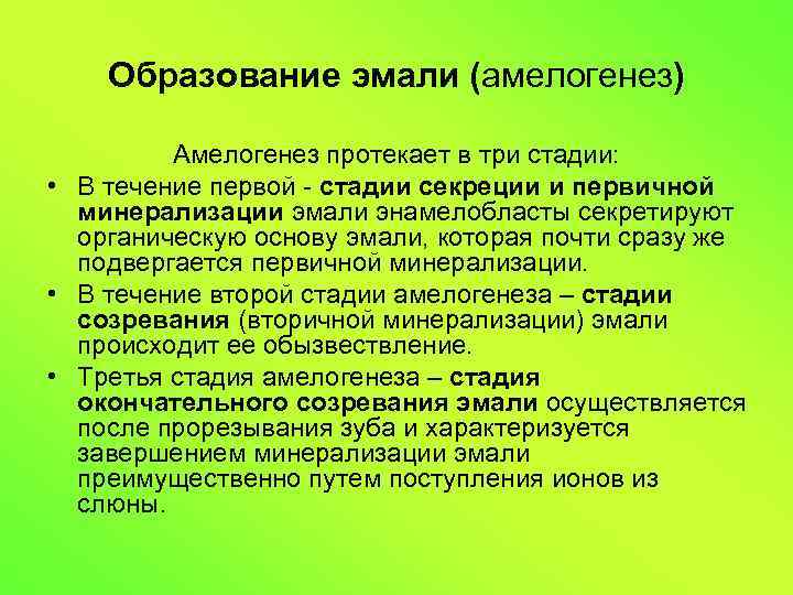 Образование эмали (амелогенез) Амелогенез протекает в три стадии: • В течение первой - стадии