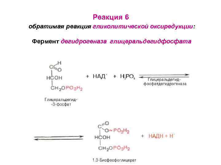 Реакция 6 обратимая реакция гликолитической оксиредукции: Фермент дегидрогеназа глицеральдегидфосфата 