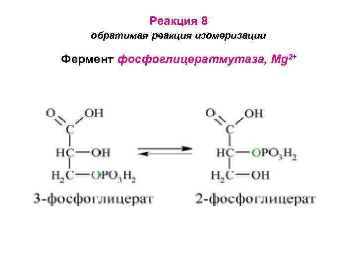 Реакция 8 обратимая реакция изомеризации Фермент фосфоглицератмутаза, Mg 2+ 