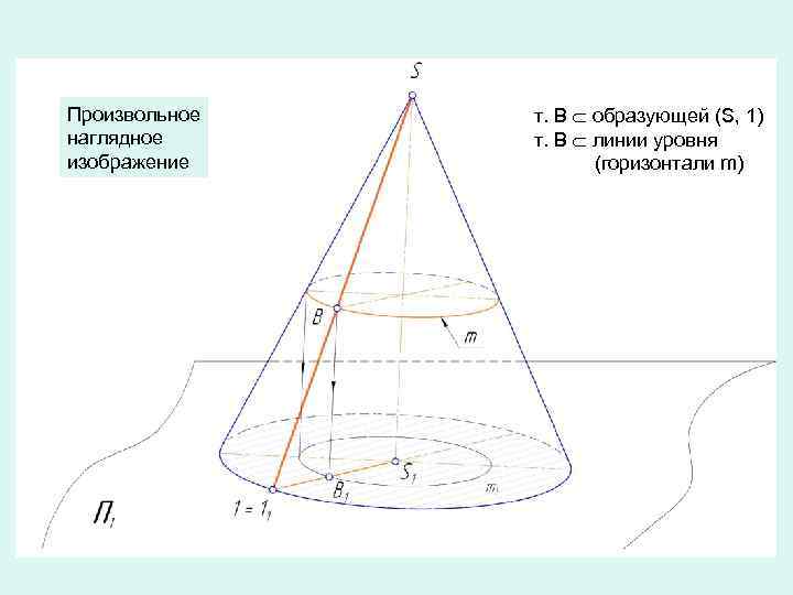 Произвольное наглядное изображение т. В образующей (S, 1) т. В линии уровня (горизонтали m)