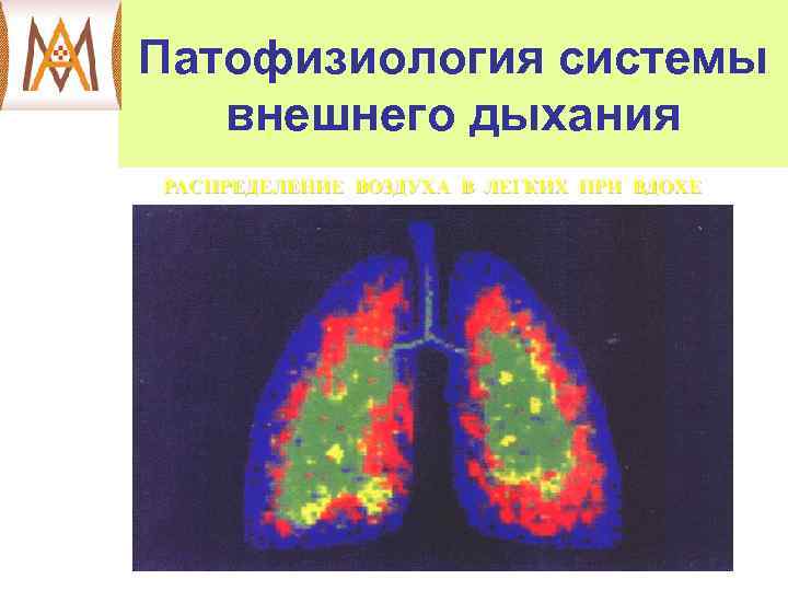 Патофизиология системы внешнего дыхания 