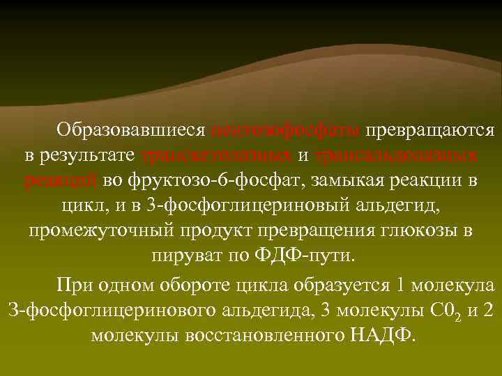 Образовавшиеся пентозофосфаты превращаются в результате транскетолазных и трансальдолазных реакций во фруктозо-6 -фосфат, замыкая реакции