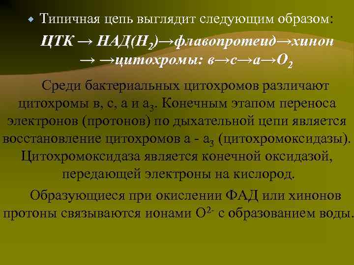  Типичная цепь выглядит следующим образом: ЦТК → НАД(Н 2)→флавопротеид→хинон → →цитохромы: в→с→а→О 2