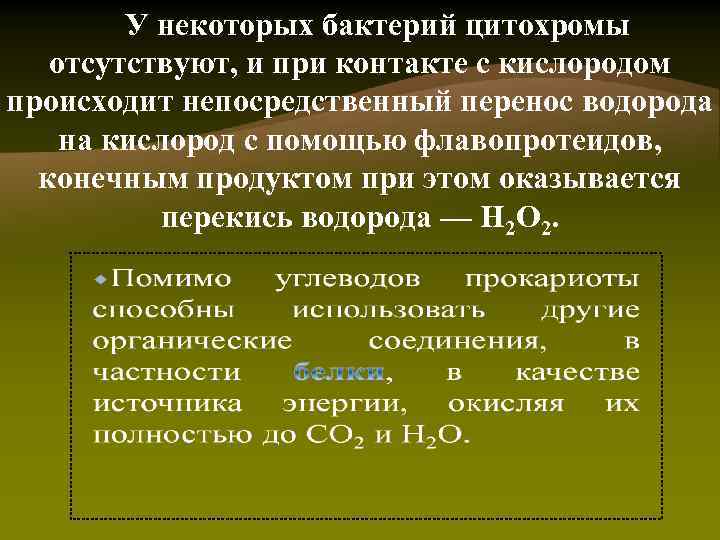 У некоторых бактерий цитохромы отсутствуют, и при контакте с кислородом происходит непосредственный перенос водорода