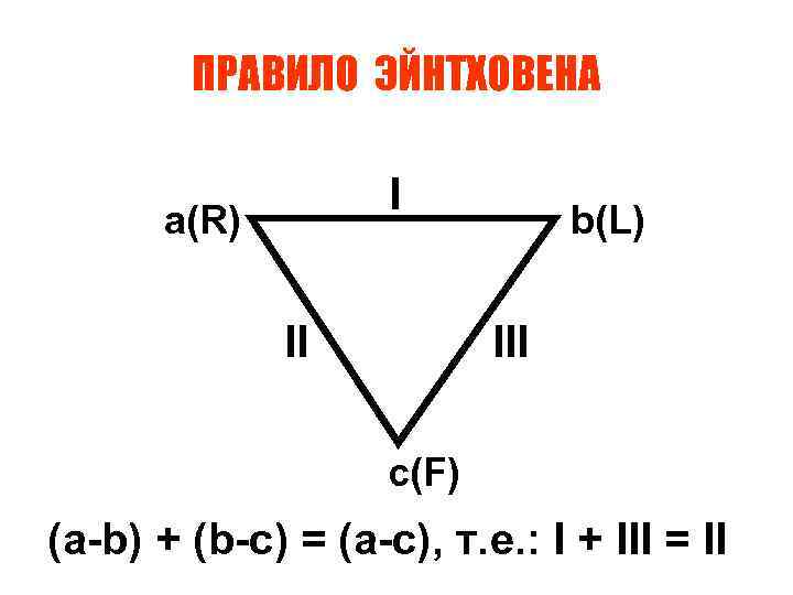 ПРАВИЛО ЭЙНТХОВЕНА I a(R) b(L) II III c(F) (a-b) + (b-c) = (a-c), т.