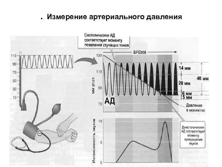 . Измерение артериального давления 