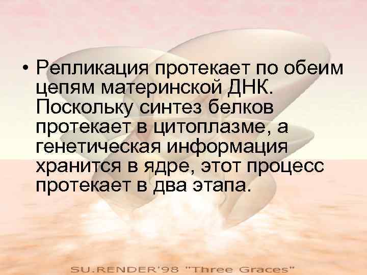  • Репликация протекает по обеим цепям материнской ДНК. Поскольку синтез белков протекает в