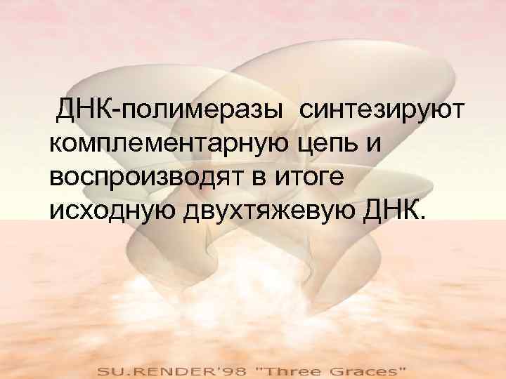 ДНК-полимеразы синтезируют комплементарную цепь и воспроизводят в итоге исходную двухтяжевую ДНК. 