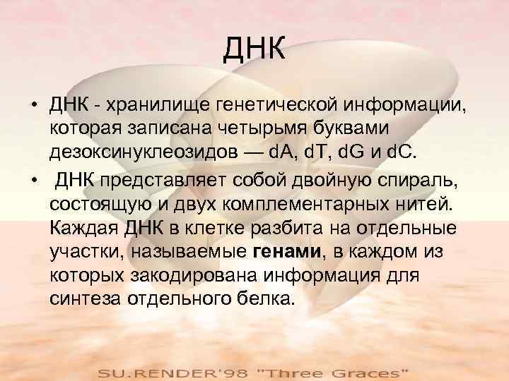 ДНК • ДНК - хранилище генетической информации, которая записана четырьмя буквами дезоксинуклеозидов — d.