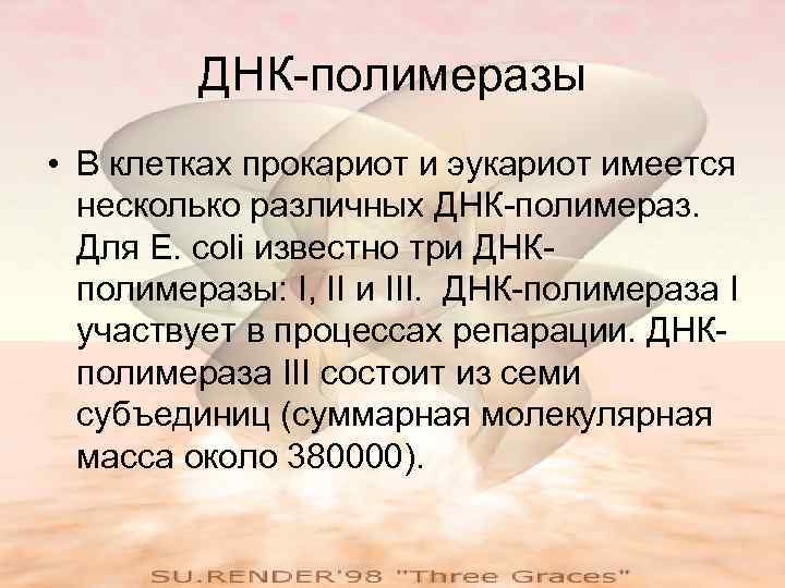 ДНК-полимеразы • В клетках прокариот и эукариот имеется несколько различных ДНК-полимераз. Для E. coli