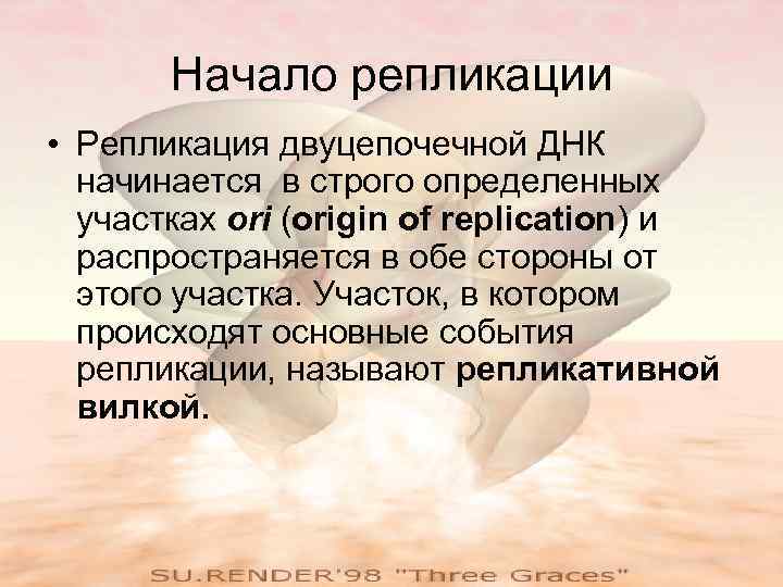 Начало репликации • Репликация двуцепочечной ДНК начинается в строго определенных участках ori (origin of