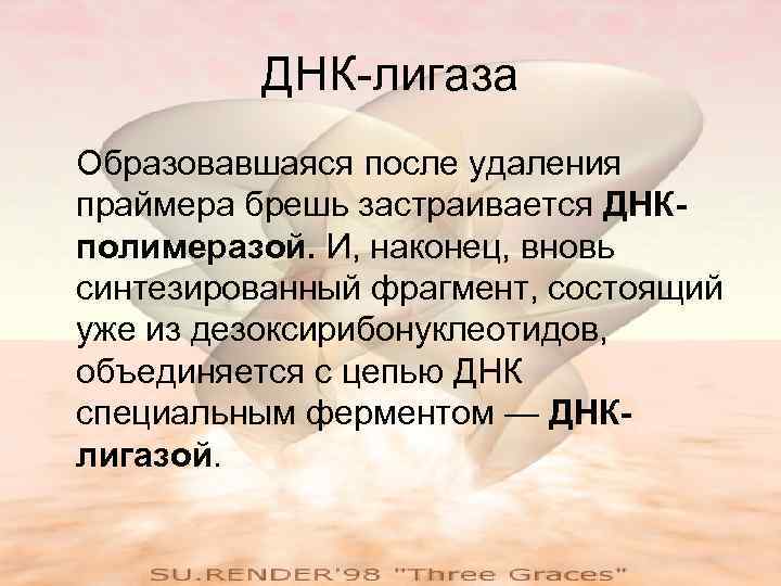 ДНК-лигаза Образовавшаяся после удаления праймера брешь застраивается ДНКполимеразой. И, наконец, вновь синтезированный фрагмент, состоящий
