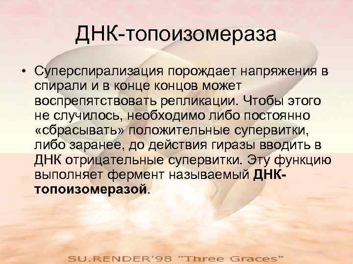 ДНК-топоизомераза • Суперспирализация порождает напряжения в спирали и в конце концов может воспрепятствовать репликации.