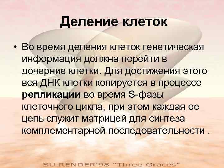 Деление клеток • Во время деления клеток генетическая информация должна перейти в дочерние клетки.