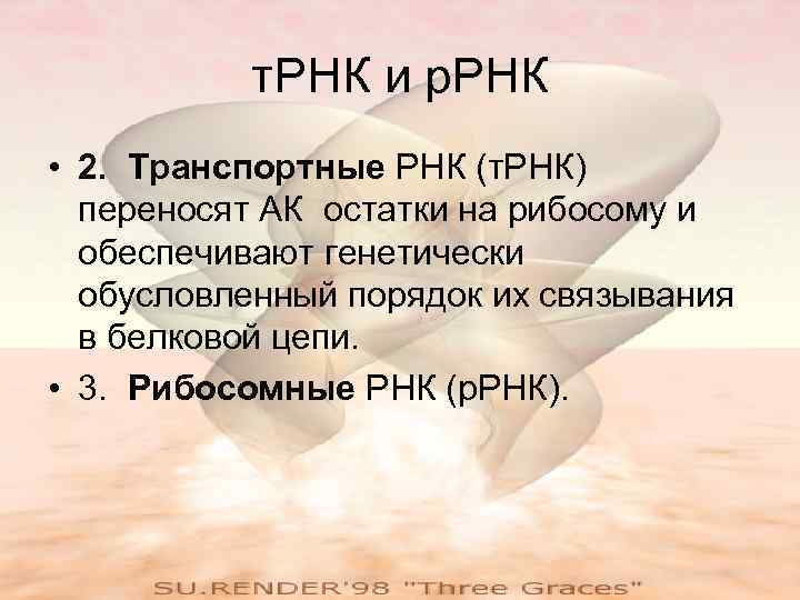 т. РНК и р. РНК • 2. Транспортные РНК (т. РНК) переносят АК остатки